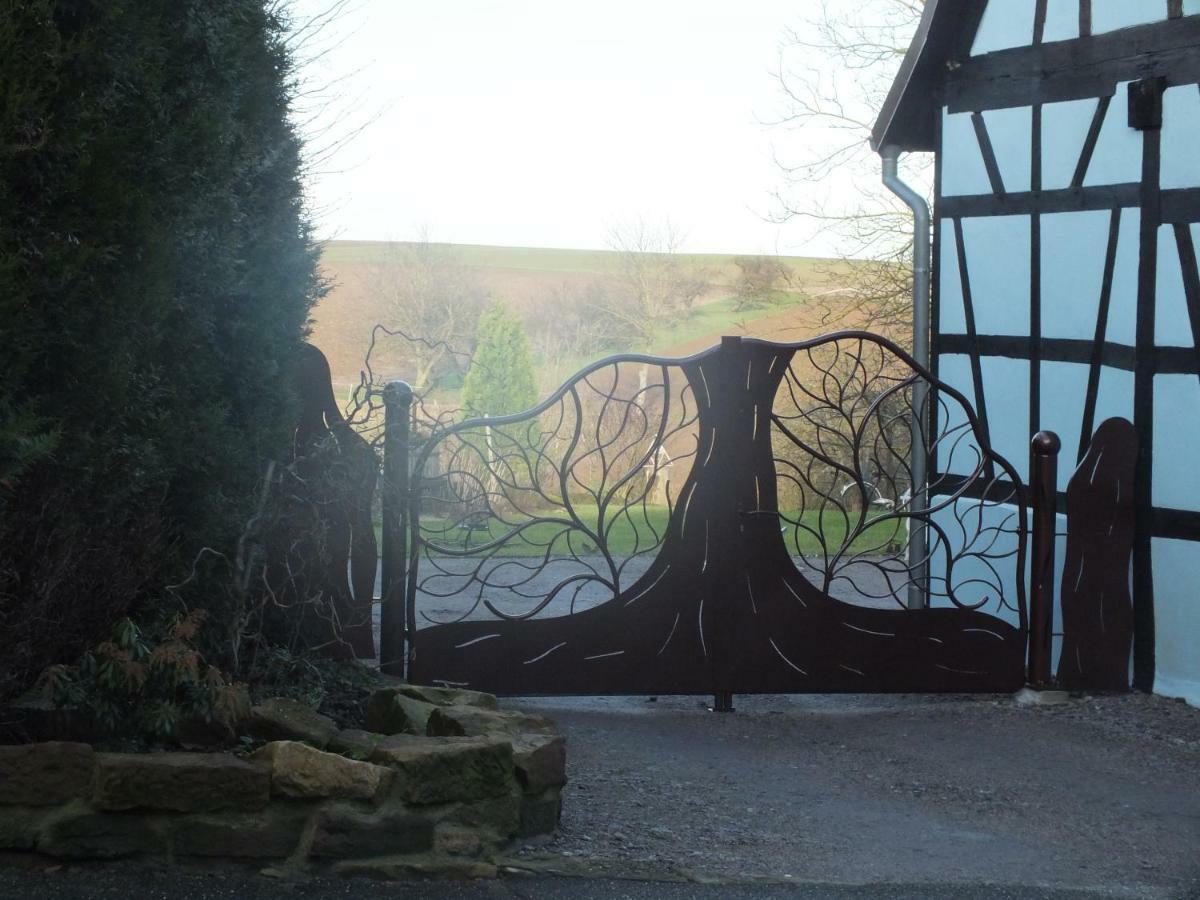 Gite Decouverte Alsace Kuhlendorf Экстерьер фото
